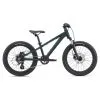 Giant STP 20 FS Trekking Green