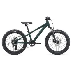 Giant STP 20 FS Trekking Green