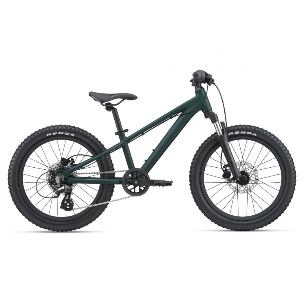 Giant STP 20 FS Trekking Green
