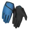 Giro DND Junior II Gloves Shaboti Blue