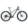 Yeti ARC T-Series T2 29" Bike Raw Grey