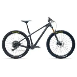 Yeti ARC T-Series T2 29" Bike Raw Grey